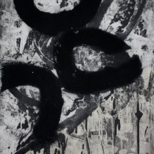 Bird-2011-etchingcarborundum-900x500mm