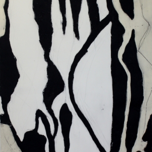 Shadowplay-trptych-c-right-2012-etchingdrypointchine-colle-750x650mm