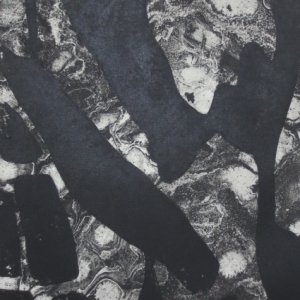 Umbra Sumus (90x50) -2013-acrylic-resist-etching-aquatint-900-x-500-mm